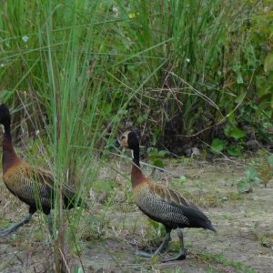 Fotos ambientales (2)