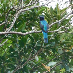 Fotos ambientales (3)