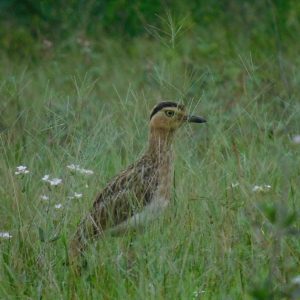 Fotos ambientales (7)